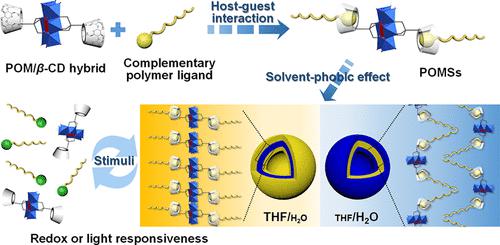 Self Assembly Of Polyoxometalate Based Nanoparticle Surfactants In