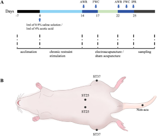 Electroacupuncture Improving Intestinal Barrier Function In Rats With