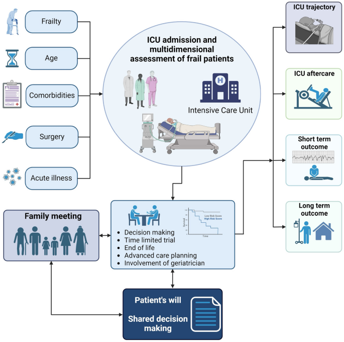 Caring For Frail Patients In The ICU A Multidimensional Approach