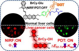 γ 谷氨酰转肽酶可激活近红外光敏剂用于可视化和选择性杀死肝癌细胞 Dyes and Pigments X MOL