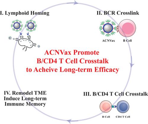 Antigen Clustered Nanovaccine Achieves Long Term Tumor Remission By