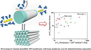 Industrial Scale Channel Monolithic Silicalite Membranes For