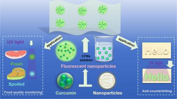 Organelle Like Water Borne Curcumin Nanoparticles With Smart