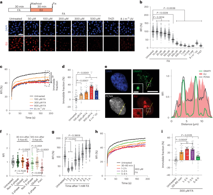 Transcription Coupled Dnaprotein Crosslink Repair By Csb And Crl Csa