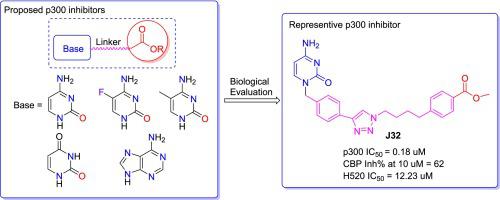 P Bioorganic Medicinal Chemistry