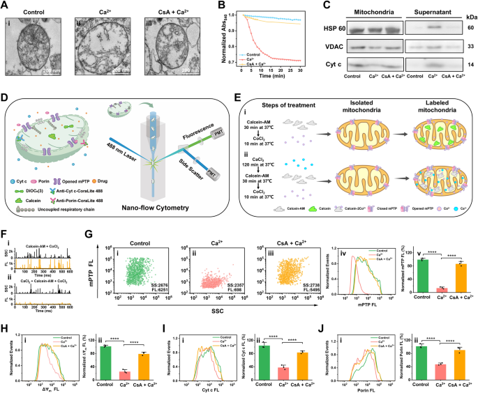 Nano Flow Cytometry Unveils Mitochondrial Permeability Transition