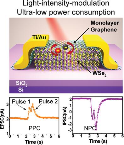 LightIntensity Switching Of Graphene WSe2 Synaptic Devices Advanced