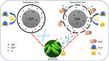 Evaluating The Role Of Salinity In Enhanced Biogas Production From Two