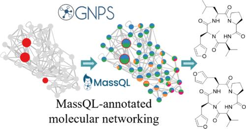 用于生物活性环肽的发现和子结构注释的 MassQL 集成分子网络方法 Journal of Natural Products X MOL