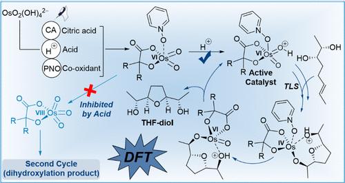 Elucidating The Mechanism Of Tetrahydrofuran Diol Formation Through Os