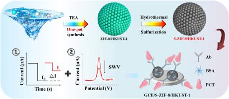 A Dual Mode Label Free Electrochemical Immunosensor For Ultrasensitive