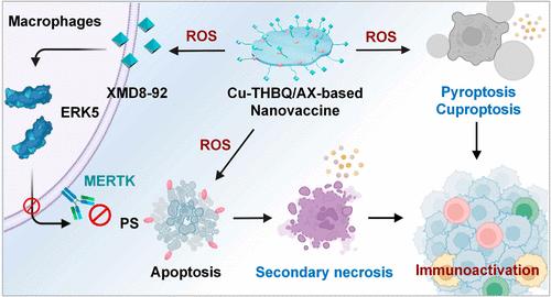 Metalorganic Framework Based Nanovaccine For Relieving