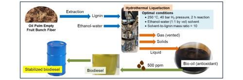 油棕木质素水热液化为生物油用作生物柴油中的抗氧化剂 Journal of Industrial and Engineering