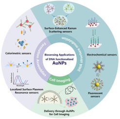 Fast Track Synthesis Of Dna Functionalized Gold Nanoparticles For