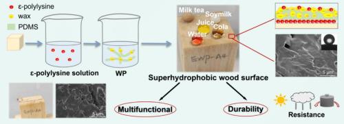 Construction Of Durable Multifunctional Superhydrophobic Wood Surface