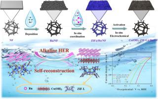 Self Reconstructed Zif L Co Oh Heterointerface Modulates Electronic