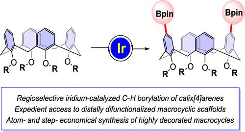 Iridium Catalyzed CH Borylations Regioselective Functionalizations Of