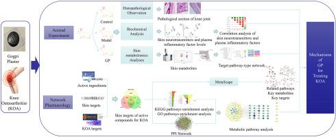 Integrated Skin Metabolomics And Network Pharmacology To Explore The