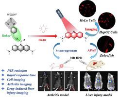 Rapid Response Near Infrared Fluorescence Probe For Colorimetric