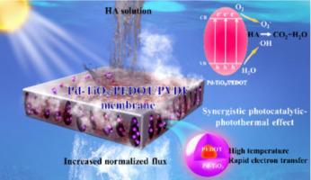 固定在 PVDF 膜中的 Pd TiO2 PEDOT 诱导的协同光催化 光热贡献以增强水净化 Chemical Engineering