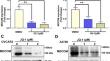 Crispr Cas Mediated Deletion Enhancer Of Mecom Play A Tumor Suppressor