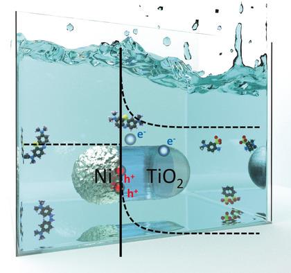 用于可见光驱动的光化学反应的等离子镍 TiO2异质结构 Angewandte Chemie International Edition X MOL