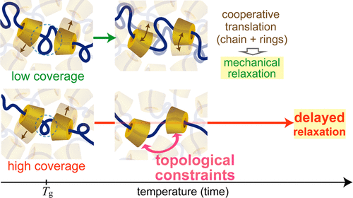 prolonged glass transition due to topological constraints in