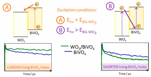 Wavelength Dependent Ultrafast Charge Carrier Separation In The Wo