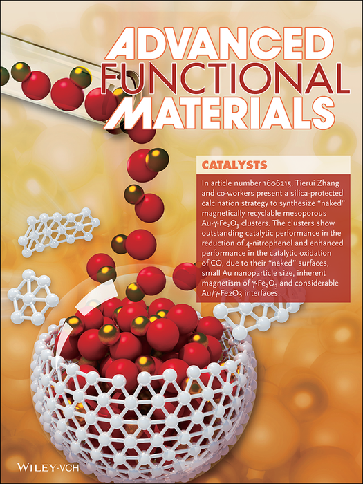 Catalysts Naked Magnetically Recyclable Mesoporous Au Fe O