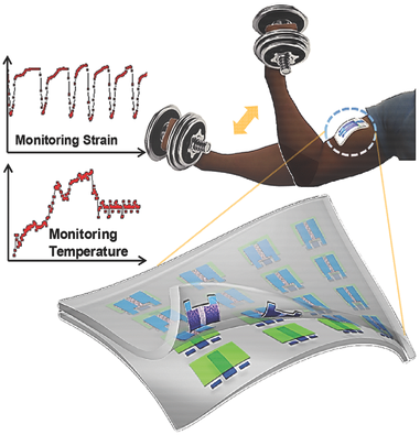 An Allelastomeric Transparent And Stretchable Temperature Sensor For