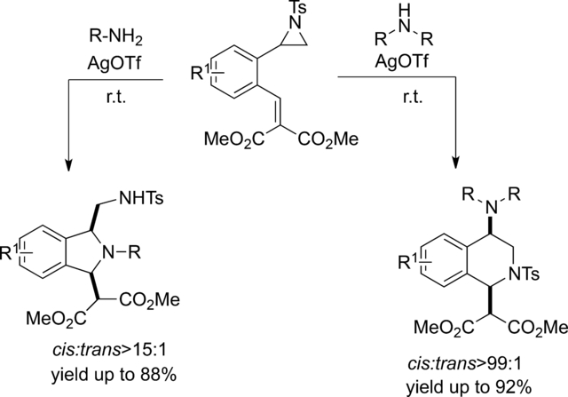 Advanced Synthesis Catalysis X Mol