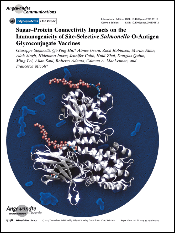 frontispiece: sugar–protein connectivity impacts