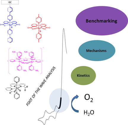 Foot Of The Wave Analysis For Mechanistic Elucidation And Benchmarking