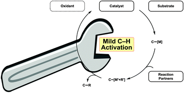 Mild Metal Catalyzed Ch Activation Examples And Concepts Chemical