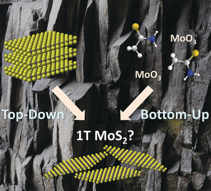 TopDown And BottomUp Approaches In Engineering 1 T Phase Molybdenum