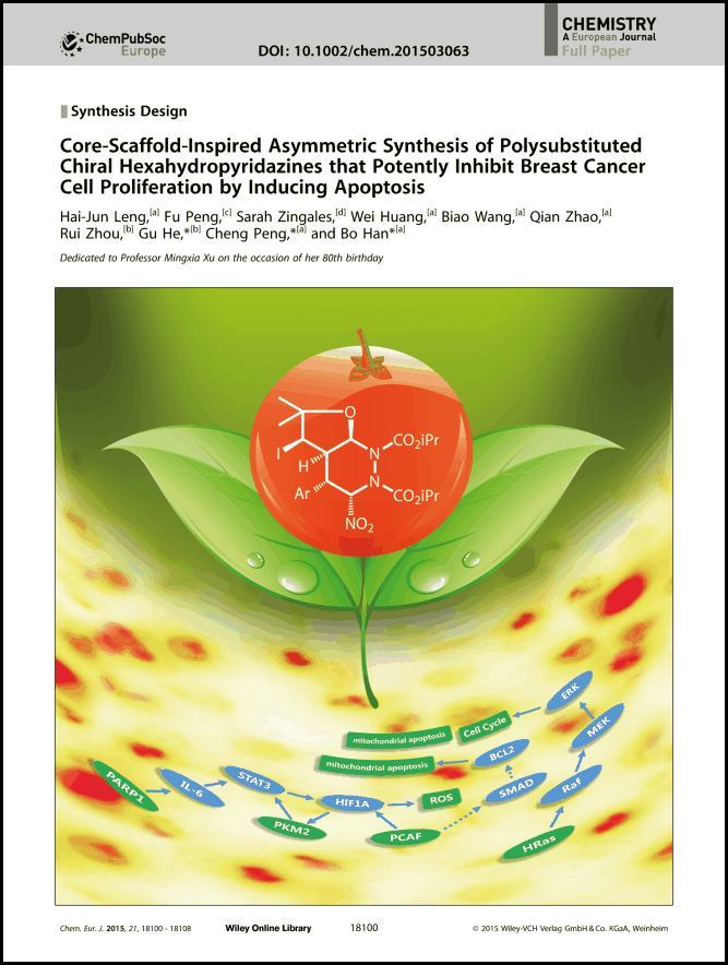 frontispiece: core-scaffold-inspired asymmetric synthesis of