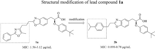 新型苯并恶唑衍生物的设计合成及抗菌性能评价 European Journal of Medicinal Chemistry X MOL