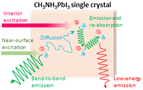 Ch Nh Pbi Journal Of The American