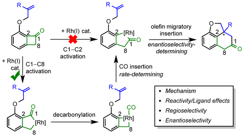 Computational Study Of Rh Catalyzed Carboacylation Of Olefins Ligand