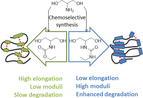 tunable thermoplastic poly(ester–urethane)s based on modified