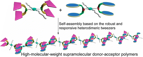 源自稳健但反应灵敏的异二聚体镊子的供体 受体型超分子聚合物 Macromolecules X MOL