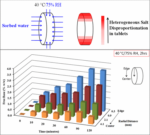 Investigation Of Spatial Heterogeneity Of Salt Disproportionation In