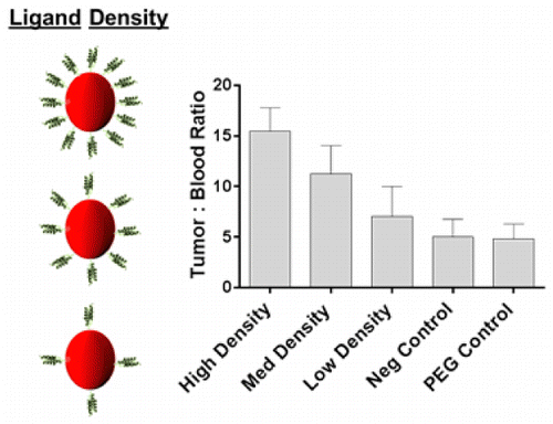 Targeted PRINT Hydrogels The Role Of Nanoparticle Size And Ligand