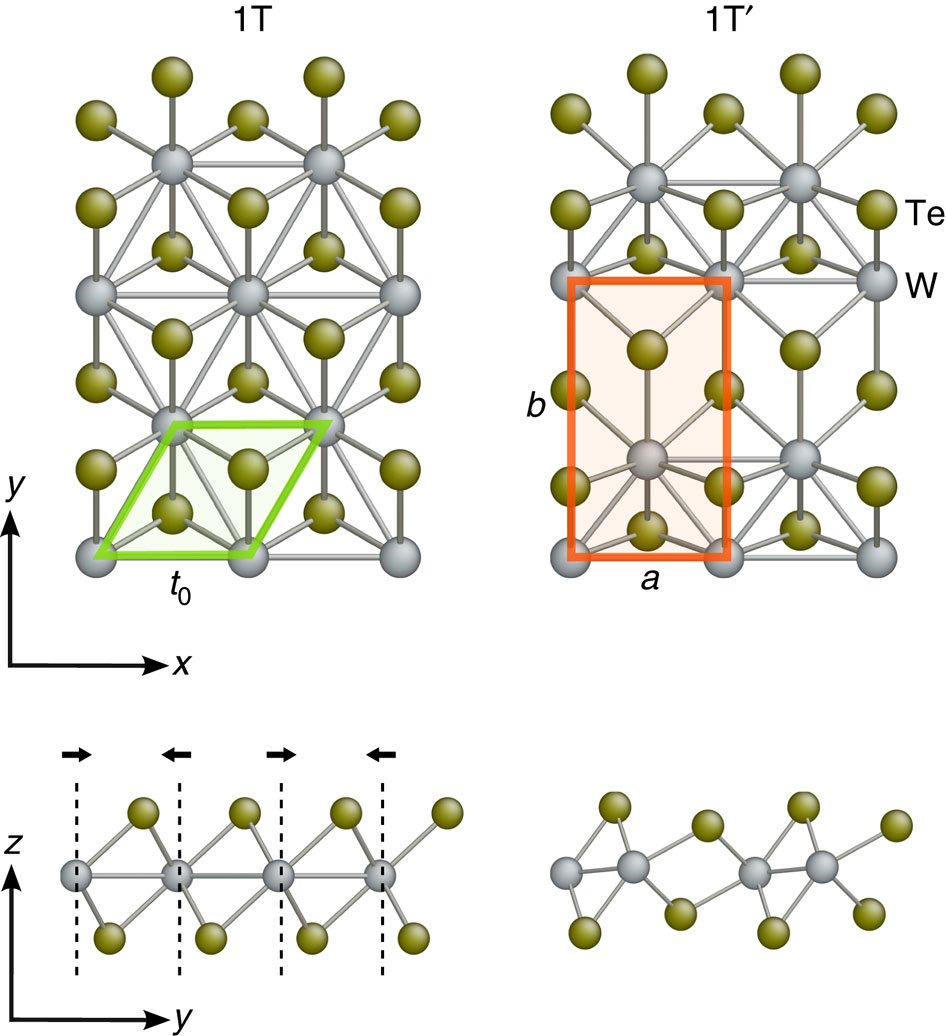 Ferroelasticity And Domain Physics In Two Dimensional Transition Metal