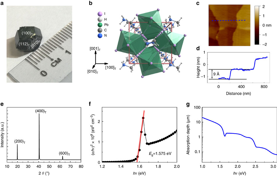 Giant Photostriction In Organic Inorganic Lead Halide Perovskites