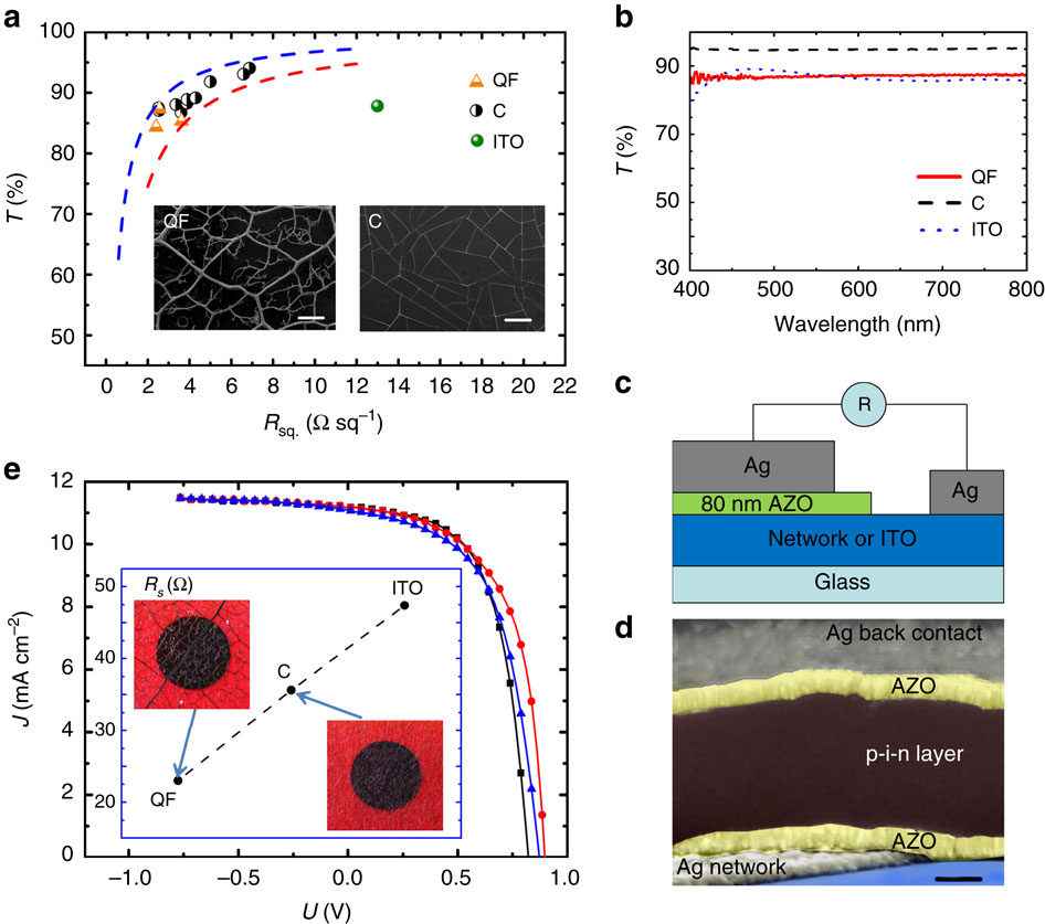 Optimization Of Hierarchical Structure And Nanoscale Enabled Plasmonic