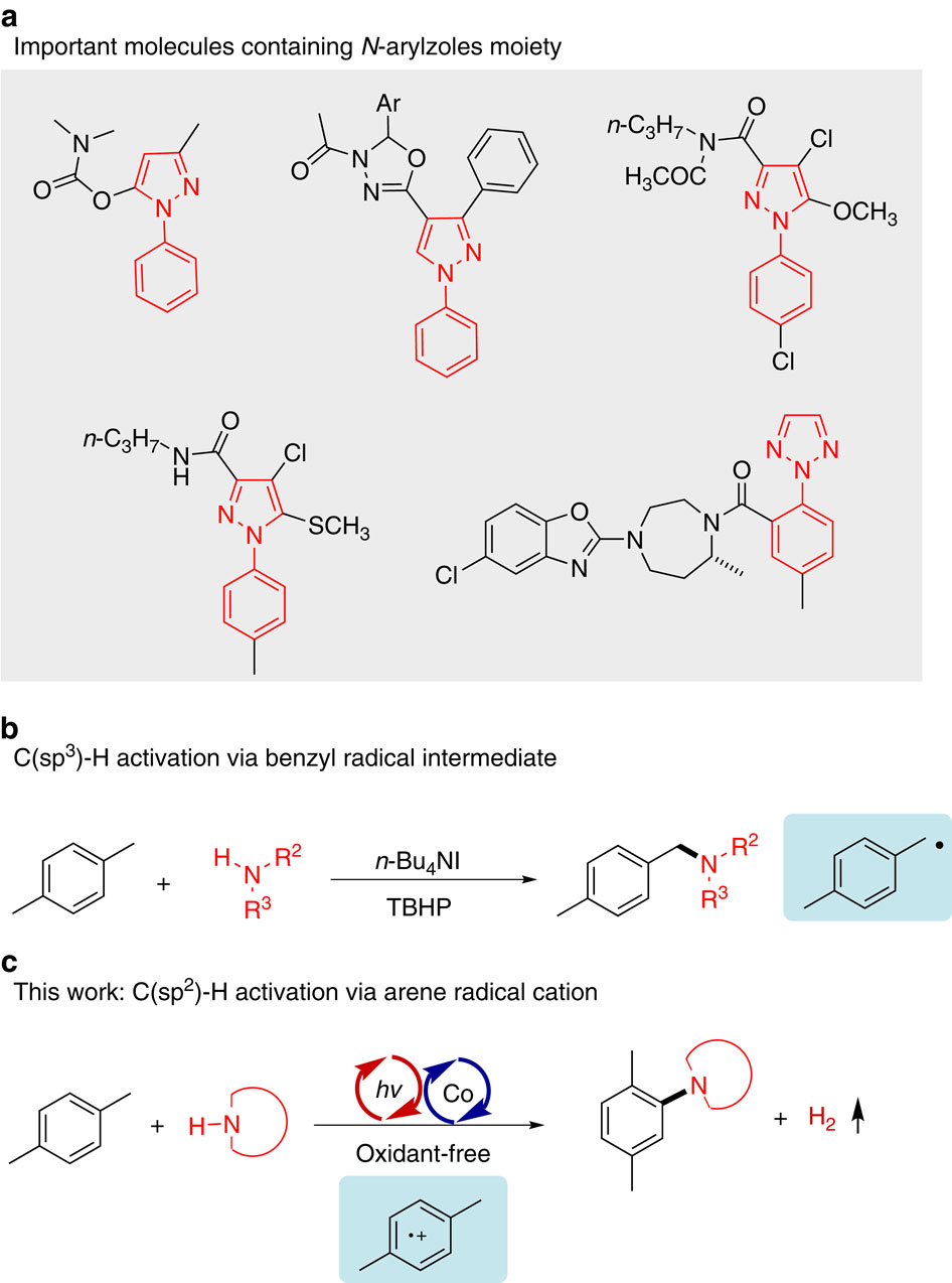 Photo Induced Oxidant Free Oxidative C H N H Cross Coupling Between