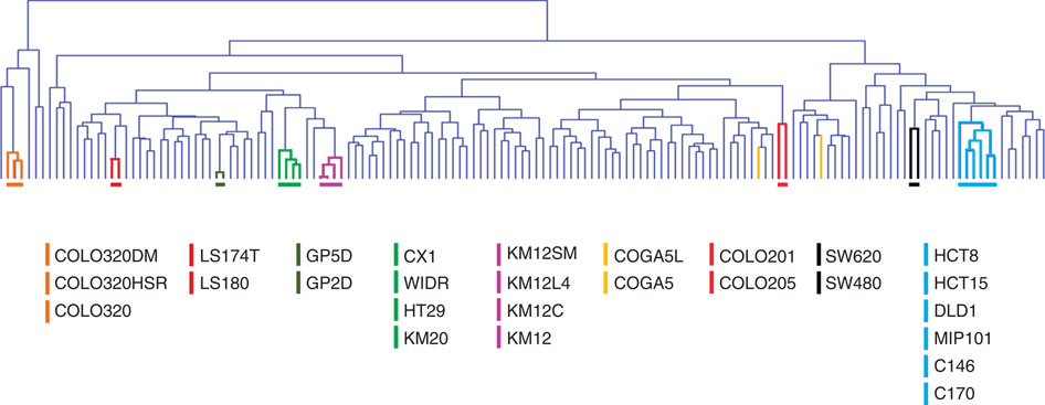 The Molecular Landscape Of Colorectal Cancer Cell Lines Unveils