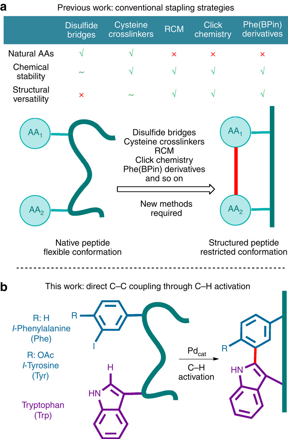 of unique constrained peptides featuring a covalent bond