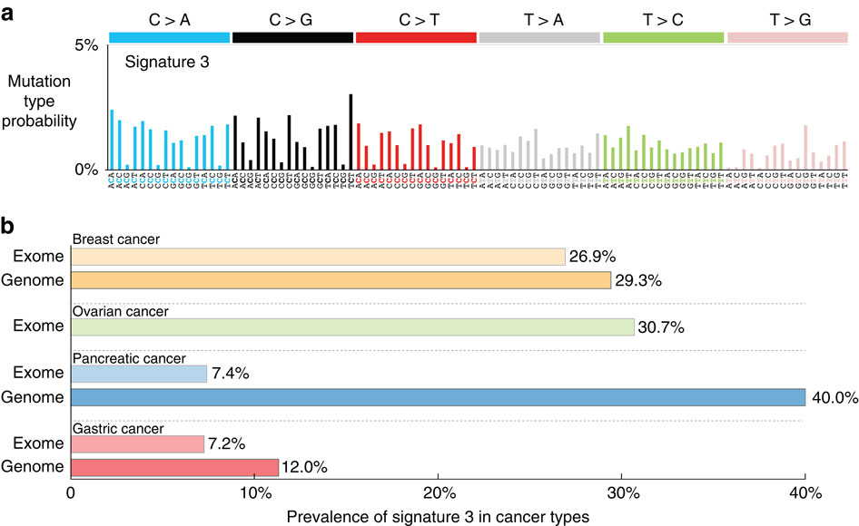 a mutational signature in gastric cancer suggests